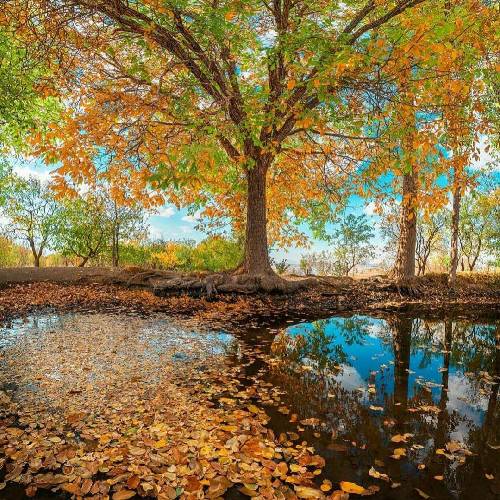 با گیتار بیا ای مونس شویاد درازم